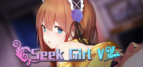 寻找女孩5/Seek Girl V-爱玩单机网