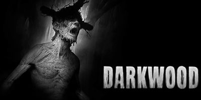 阴暗森林|v1.4A|官方中文|支持手柄|Darkwood|
